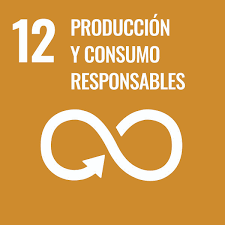 Sostenibilidad: Producción y Consumo