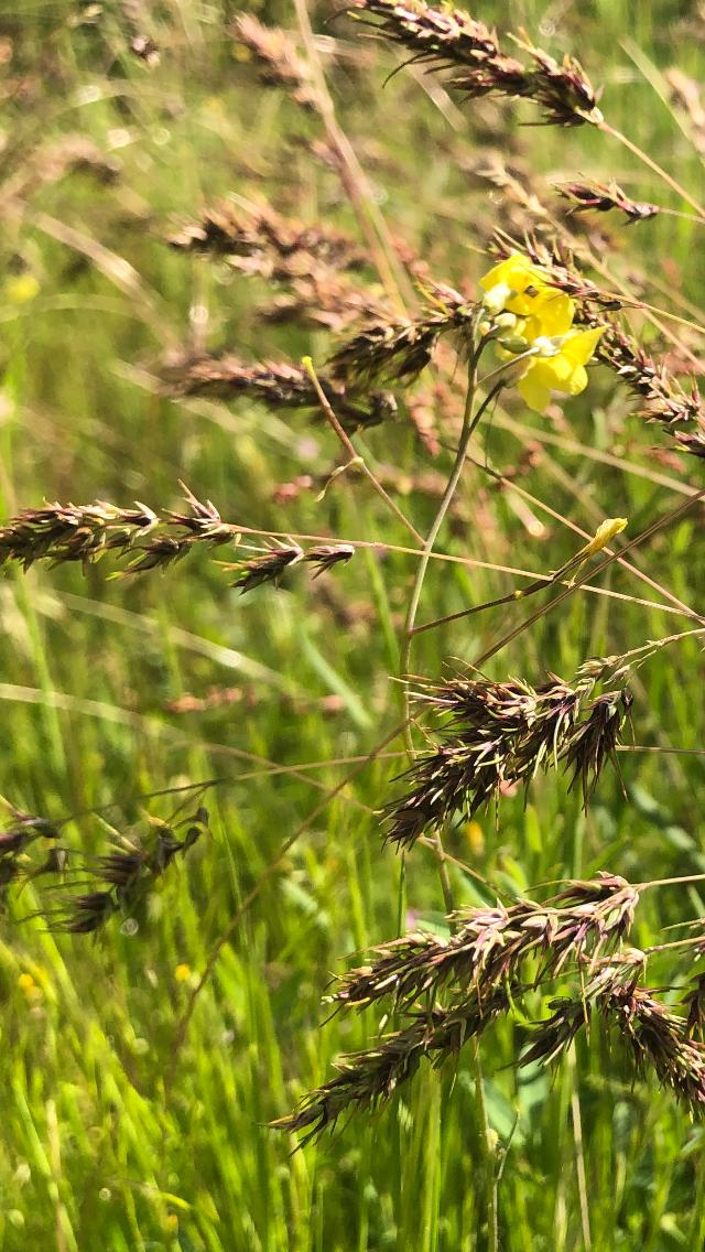 Tecnología y Naturaleza Tecnología y Naturaleza en el campo